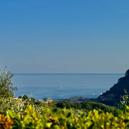 Blue Sea House *